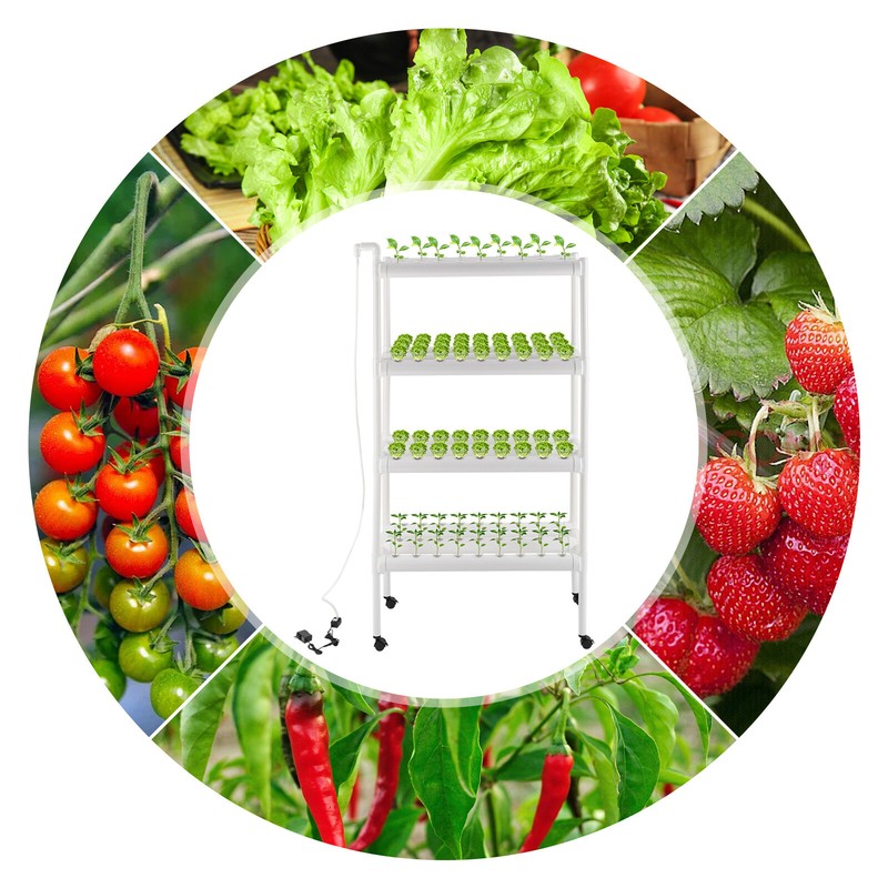 4-Tiers Growing Baskets Sets Hydroponic Grow Kit Hydroponic Planting Equipment gallery