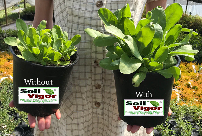Soil Vigor Potassium Superabsorbent Polymer: Water-Storing Gel for Plant 5 Lbs. gallery