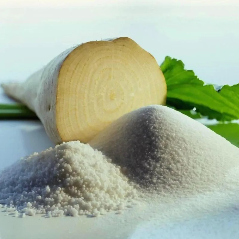 200 Sugar Beet Seeds -- Natural Source of Sugar --- LARGE gallery