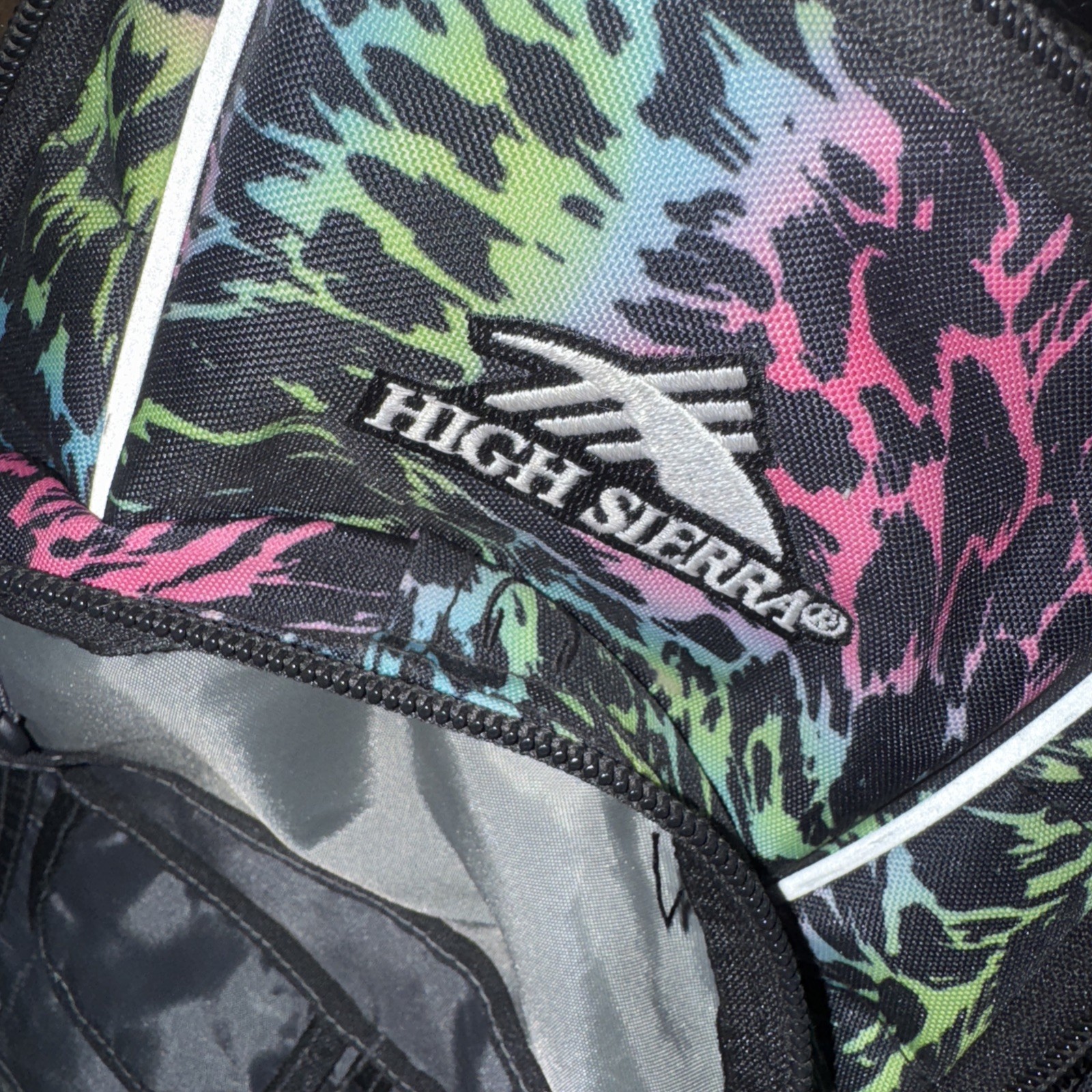 High Sierra hiking backpack  or regular back pack  5
