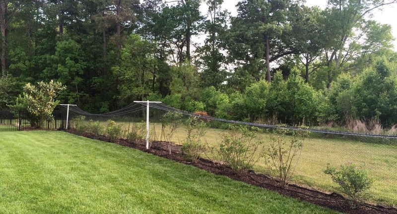Netting Heavy Knitted Nets - Poultry Anti Bird Plant Garden - Lasts 8-10 Years gallery