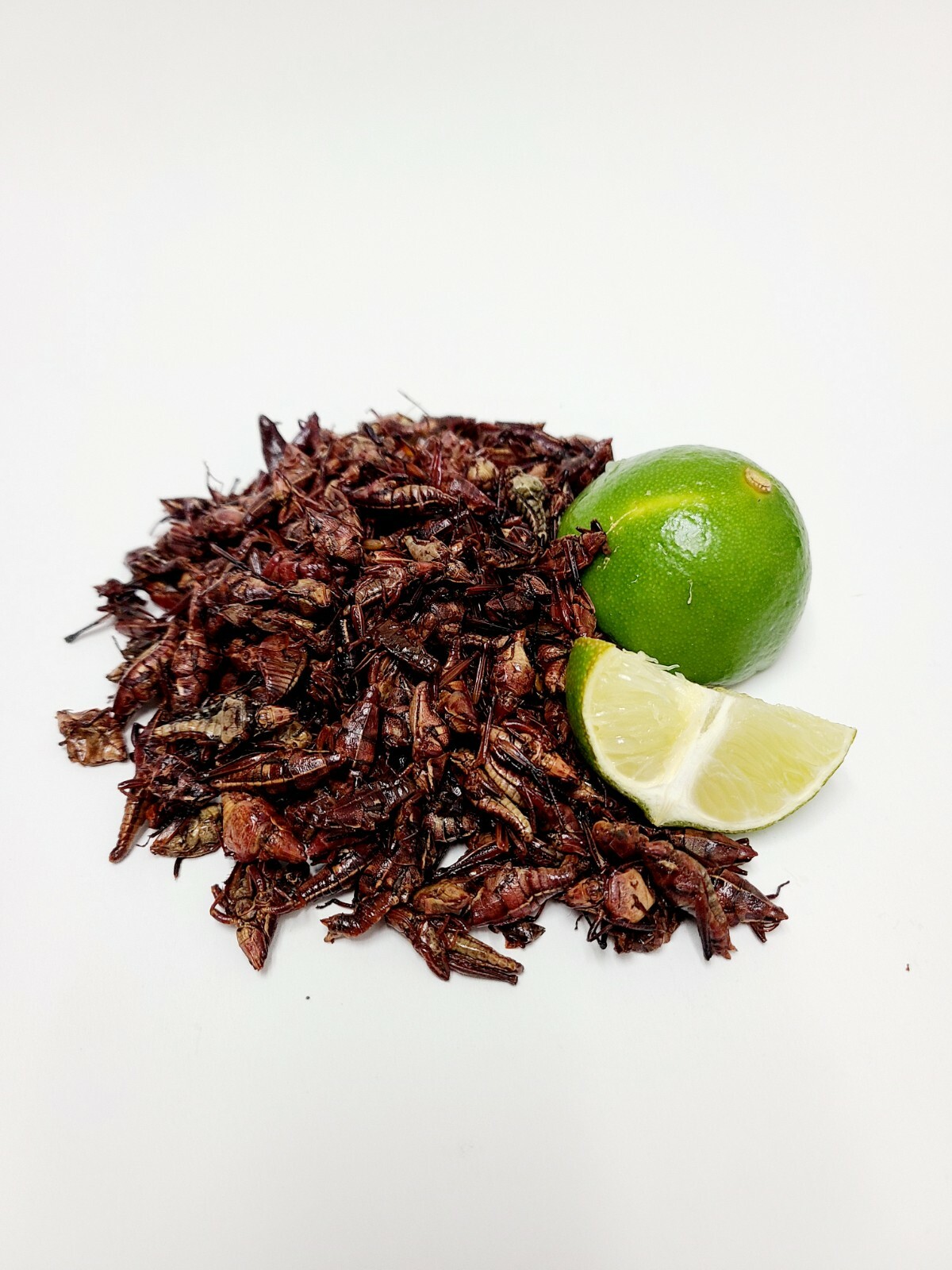 • 1 LB CHAPULINES PICOSITOS "Fresh" (spicy grasshoppers) OAXACA gallery