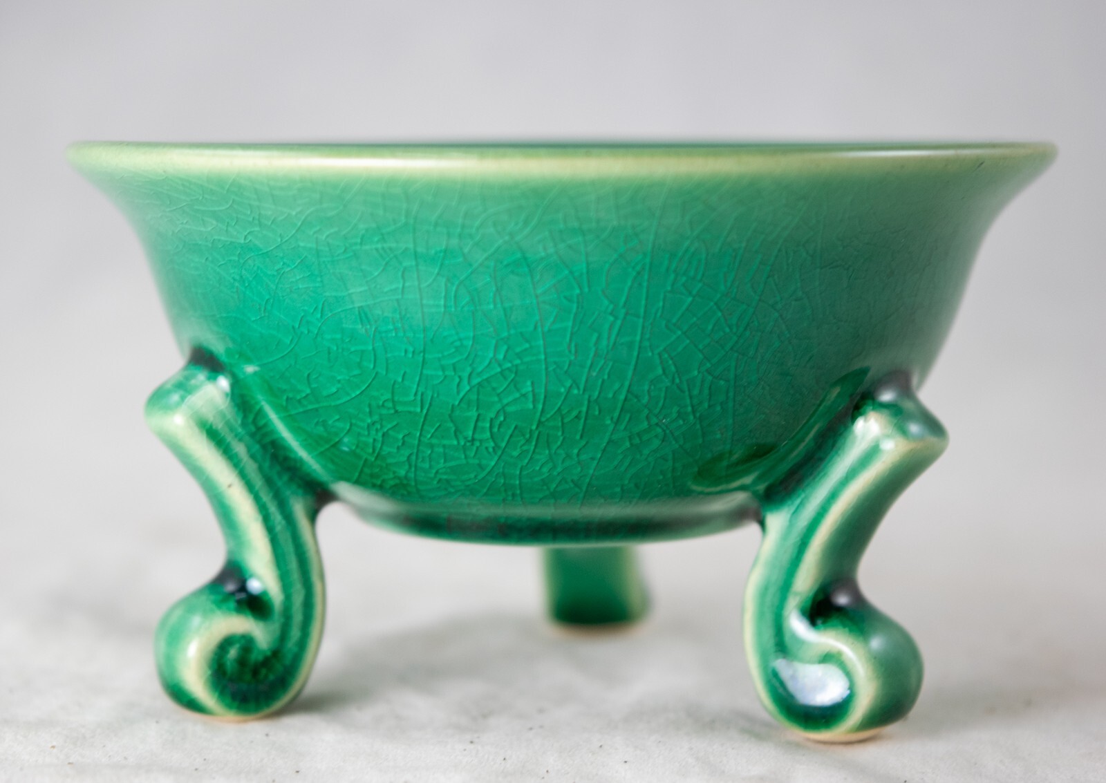 Fine Round Green Cactus & Succulent, Mame Bonsai Pot + Mesh 4.25"x 4.25"x 2.25" gallery