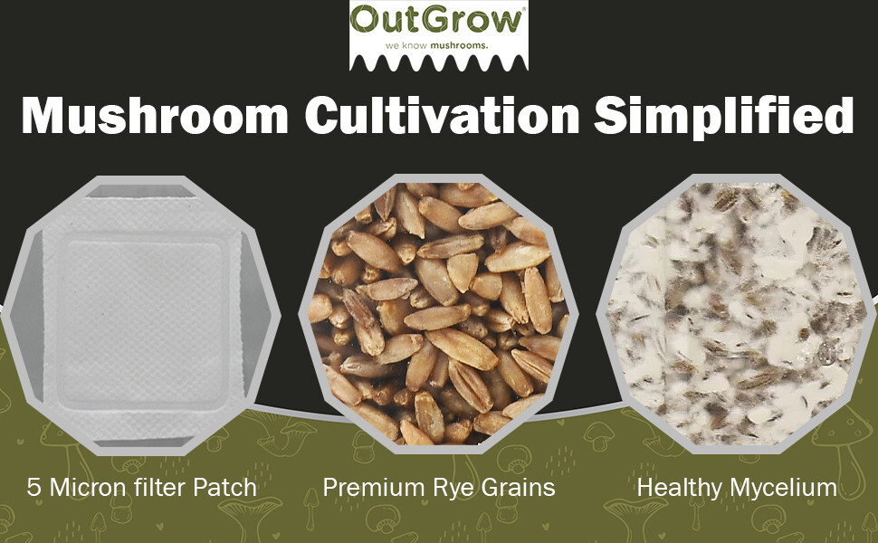 Rye Berry Mushroom Substrate (2 one pound bags!) gallery