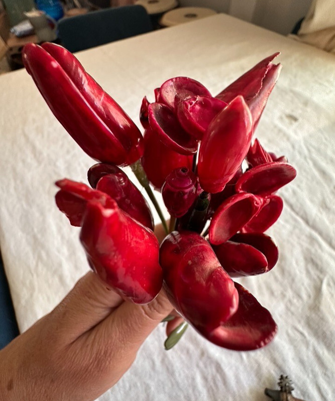 Handmade 15 Seashell Red Tulips Mini Floral arrangement 7" in tall VINTAGE gallery