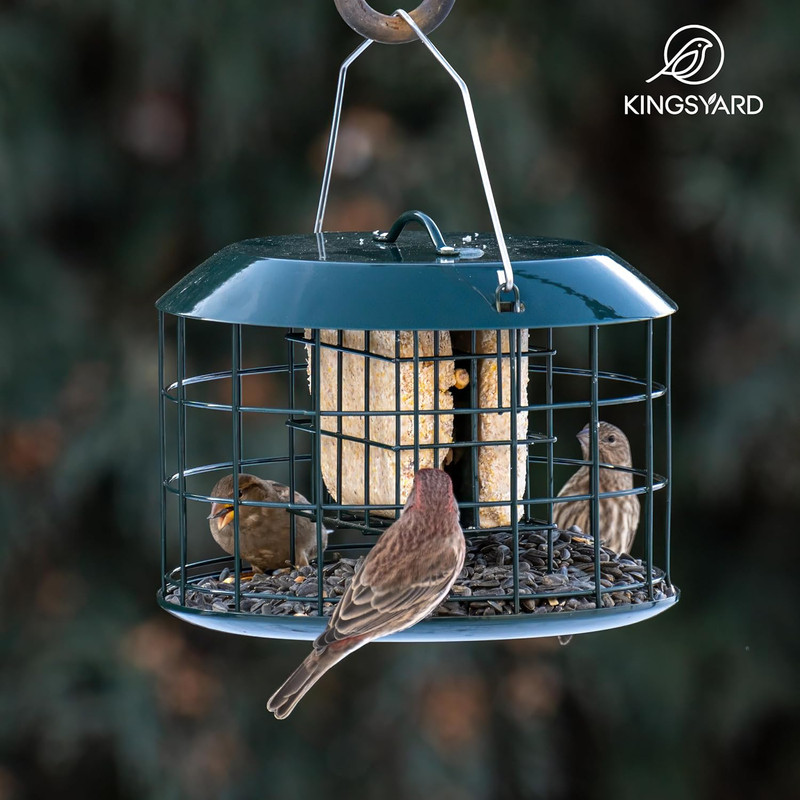 Squirrel Proof Metal Suet Feeder for Birds, Dual Cake Capacity, Green gallery