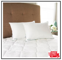 Isotonic down Alternative Standard Pillow (Set of 2)