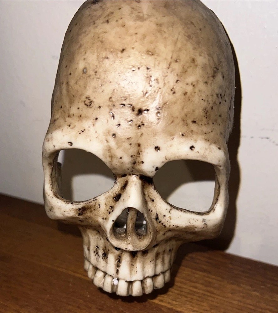 Realistic Skull Skeleton Night Light Halloween Prop Everyday Use Fun Might Light