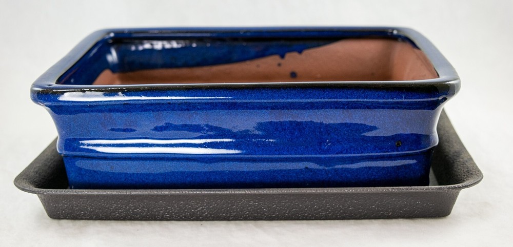 Rectangular Bonsai, Succulent Pot 10"x 8"x 3.25" + Tray + Mesh Dark Blue Glazed