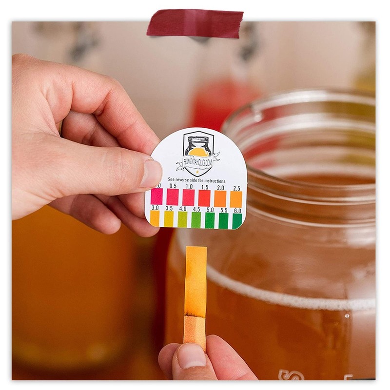 Kombucha Essentials Kit - ORGANIC SCOBY - Brew kombucha at Home gallery