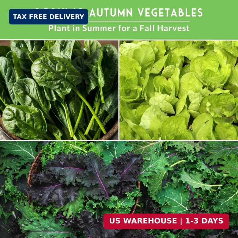 Fall Vegetable Seeds Collection - 8 Packs of Non-GMO Heirloom Cool Weather Seed gallery