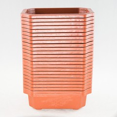 24 Rectangular Plastic Bonsai Training Pot, Succulent Planter – 6.25″x 4.5″x 2″