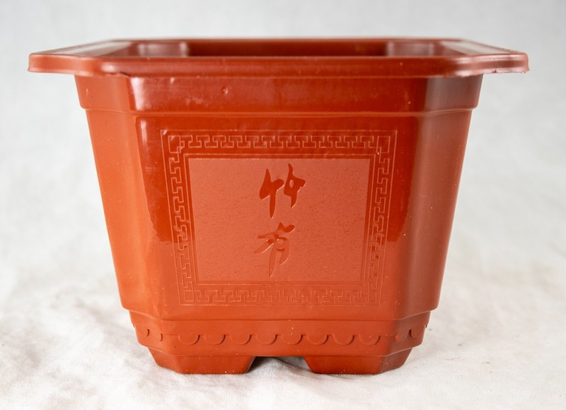 Rectangular Plastic Cactus & Succulent, Bonsai Training Tall Pot 7.25" to 17.5" gallery