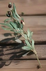 Artificial Olive Branch Stem Approximately 16 In