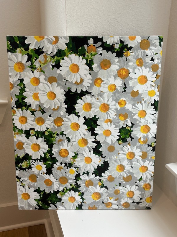 Hand Painted Daisy Canvas Art 'Finished Paint' by Number Floral Wall Decor gallery