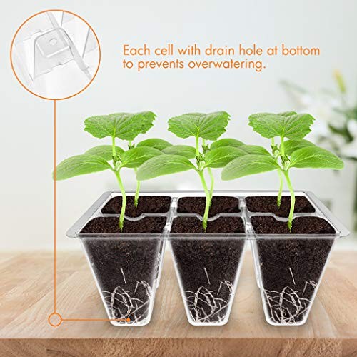 30 Pack 6-Cell Plastic Seed Starting Trays for Seedlings Vegetable Garden gallery