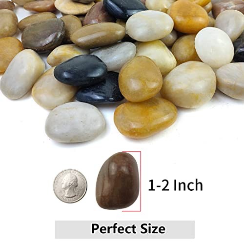 2lbs Pebbles for Indoor Plants, 1-2 Inch High Polished 2 Pounds Mixed Color gallery