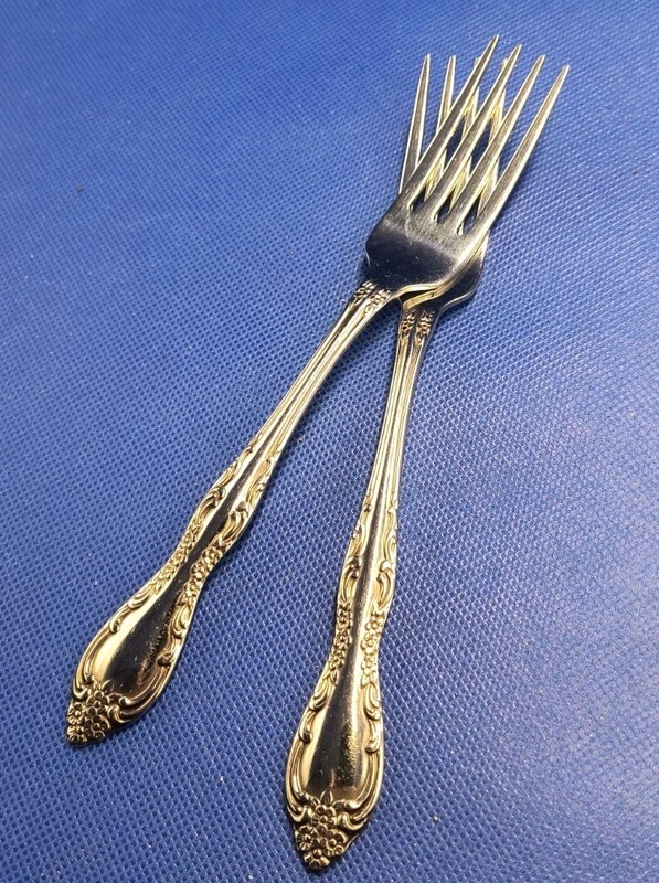 Pair of Oneida (SSS) BOURBON pattern stainless dinner forks 7 1/4" gallery
