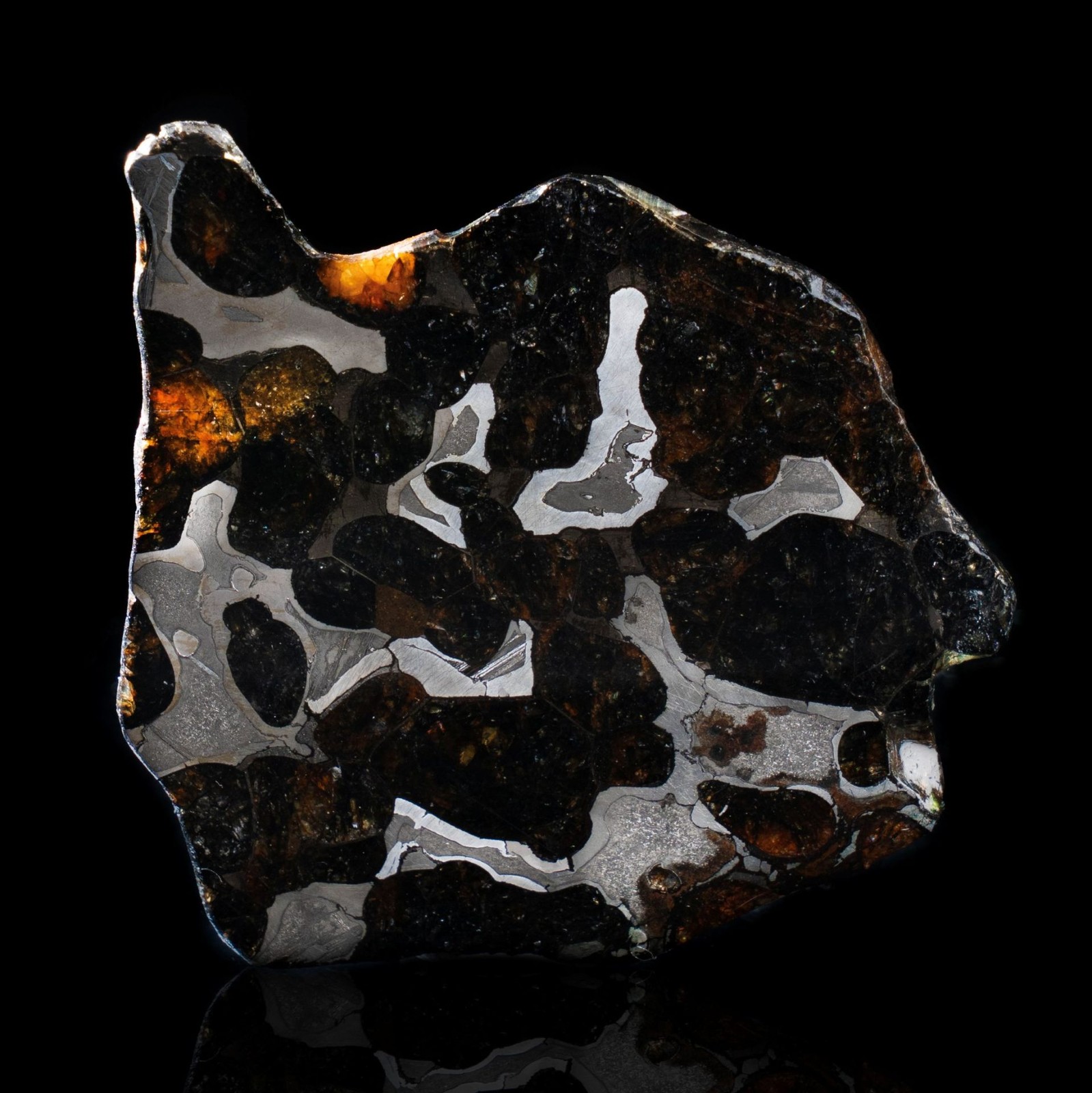Authentic Brenham Pallasite Meteorite Slice - 24g Iron Nickel Matrix gallery