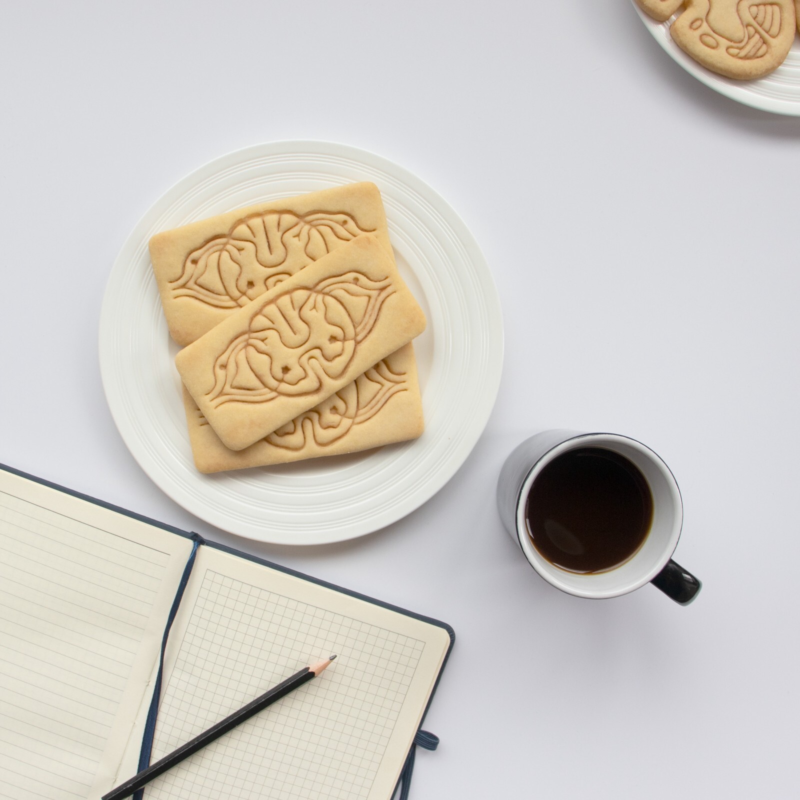 Spinal Neuro Path Cookie Cutter - biology science medicine neuroscience CNS phd gallery