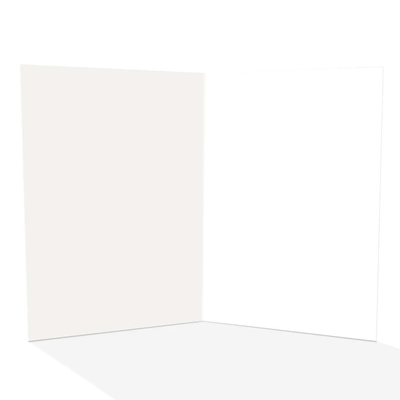 Cute Little Chipmunk Note Cards - 10 Boxed Note Cards - Wildlife - B14741 gallery