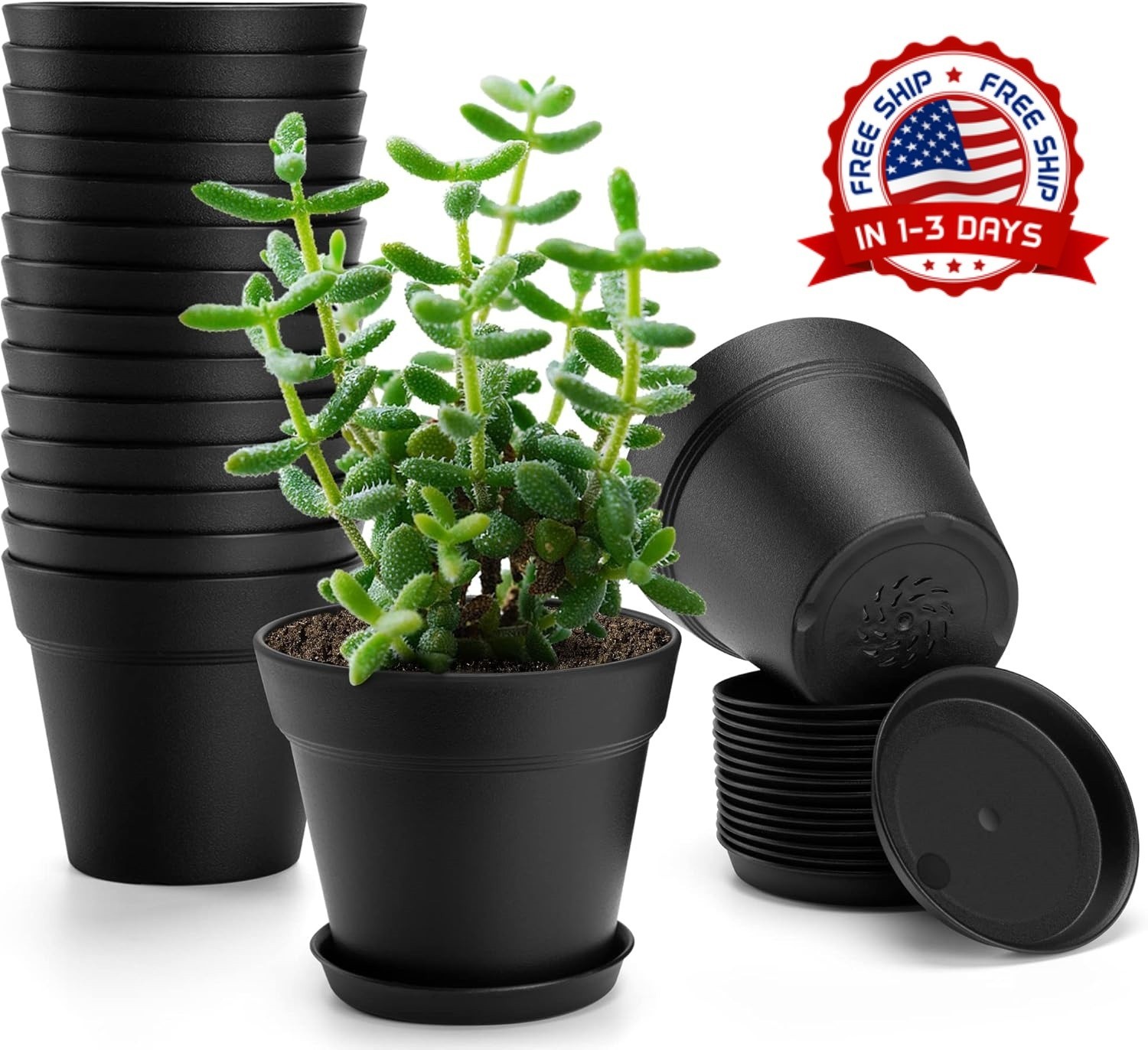 16 Macetas Plasticas de 4Pulgadas para Plantas Semilleros con Platos Color Negro gallery