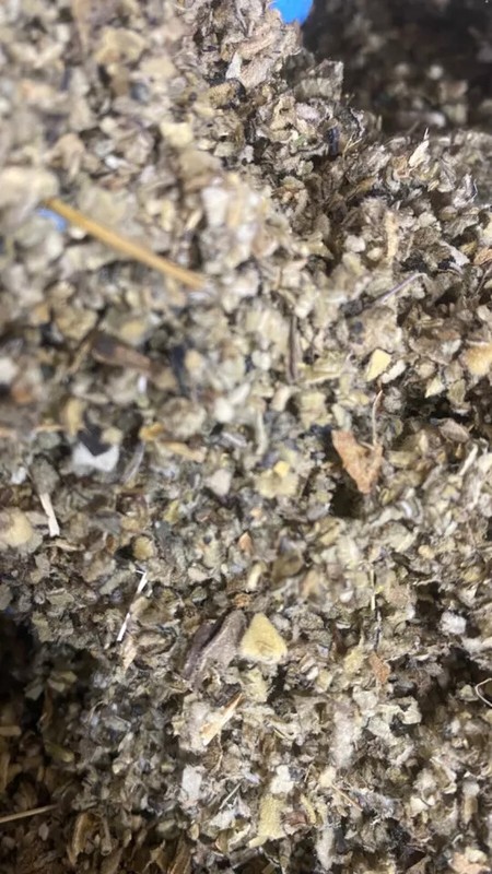MULLEIN Cut Bulk LUNG Herb USDA Organic Wholesale - oz ounce 1 2 3 4 lb's pound gallery