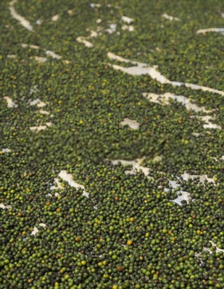 Ceylon BLACK PEPPER SEEDS POWDER Spice Natural Quality Organic Peppercorn 100g gallery