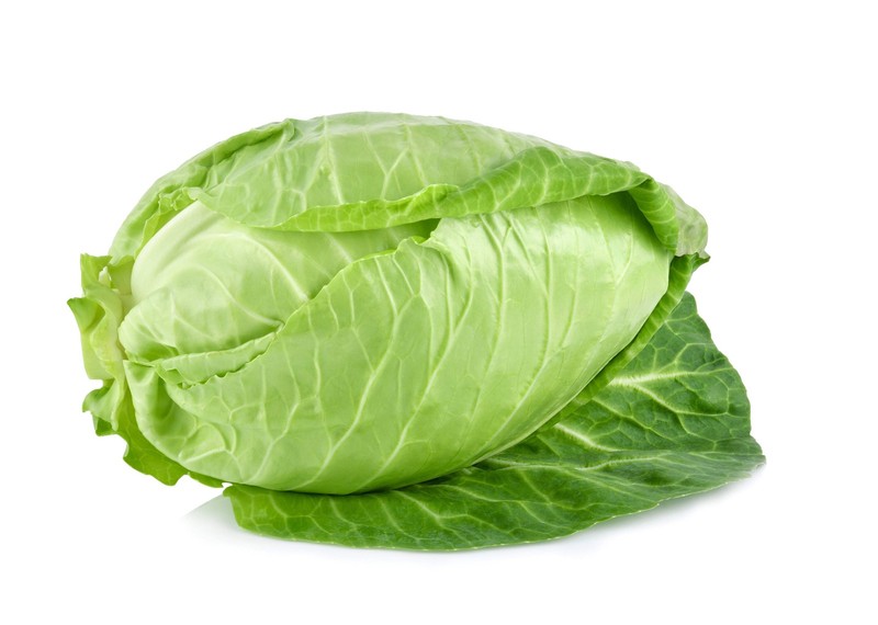 500 Early JERSEY WAKEFIELD CABBAGE Brassica Oleracea Capitata Vegetable Seeds gallery