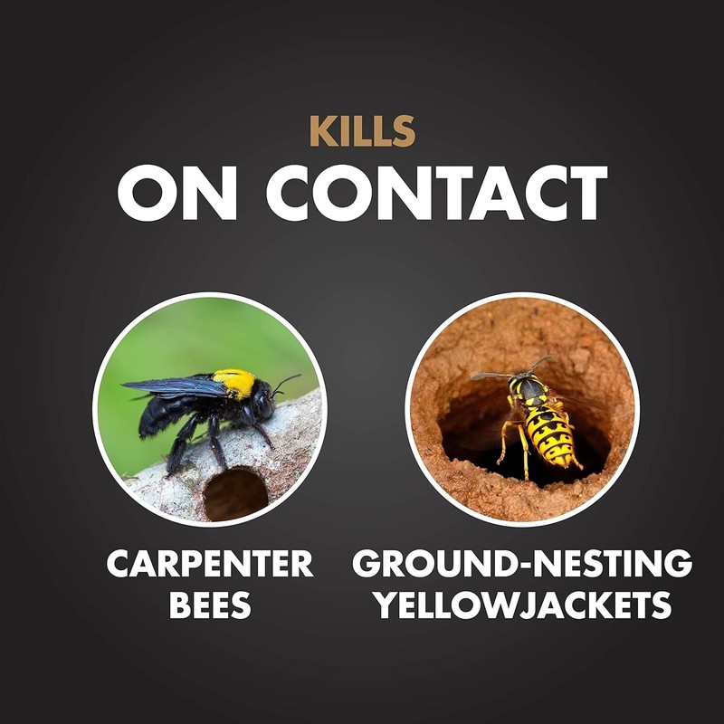 Spectracide Carpenter Bee & Nesting Yellowjacket Killer Spray 16Oz Each gallery