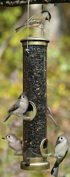 Aspects (ASP395) Quick Clean Seed Tube Feeder, Antique Brass, Medium gallery