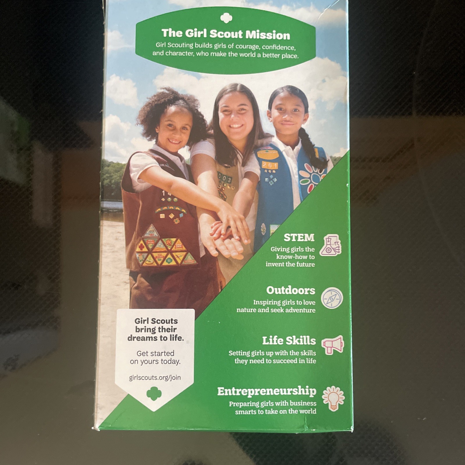 Girl Scouts Thin Mints Cookies - Pack of 32 gallery