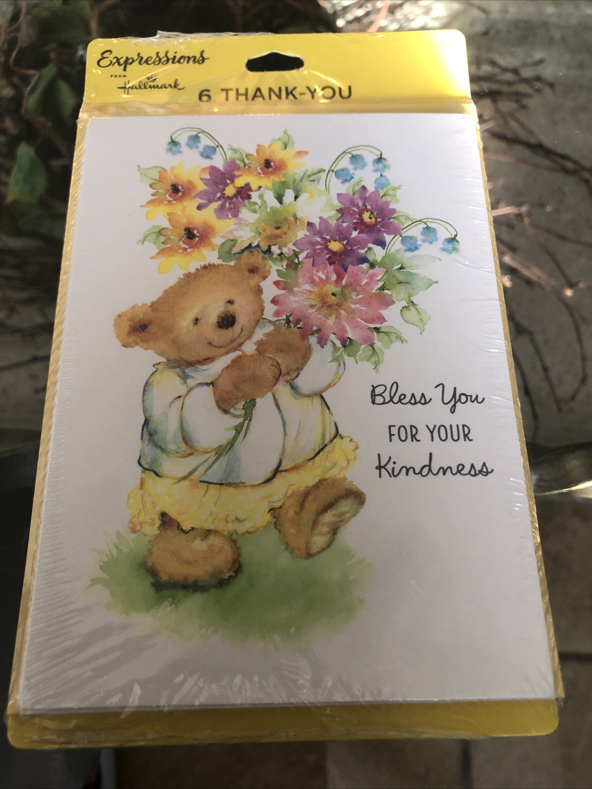 Hallmark Expressions 6 Blank Note Cards Mary Hamilton Bear Bless You Thank You gallery