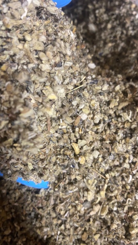 Mullein Leaf Herb - organic medicinal healing lung cut botanical - 3/4 LB Pound gallery
