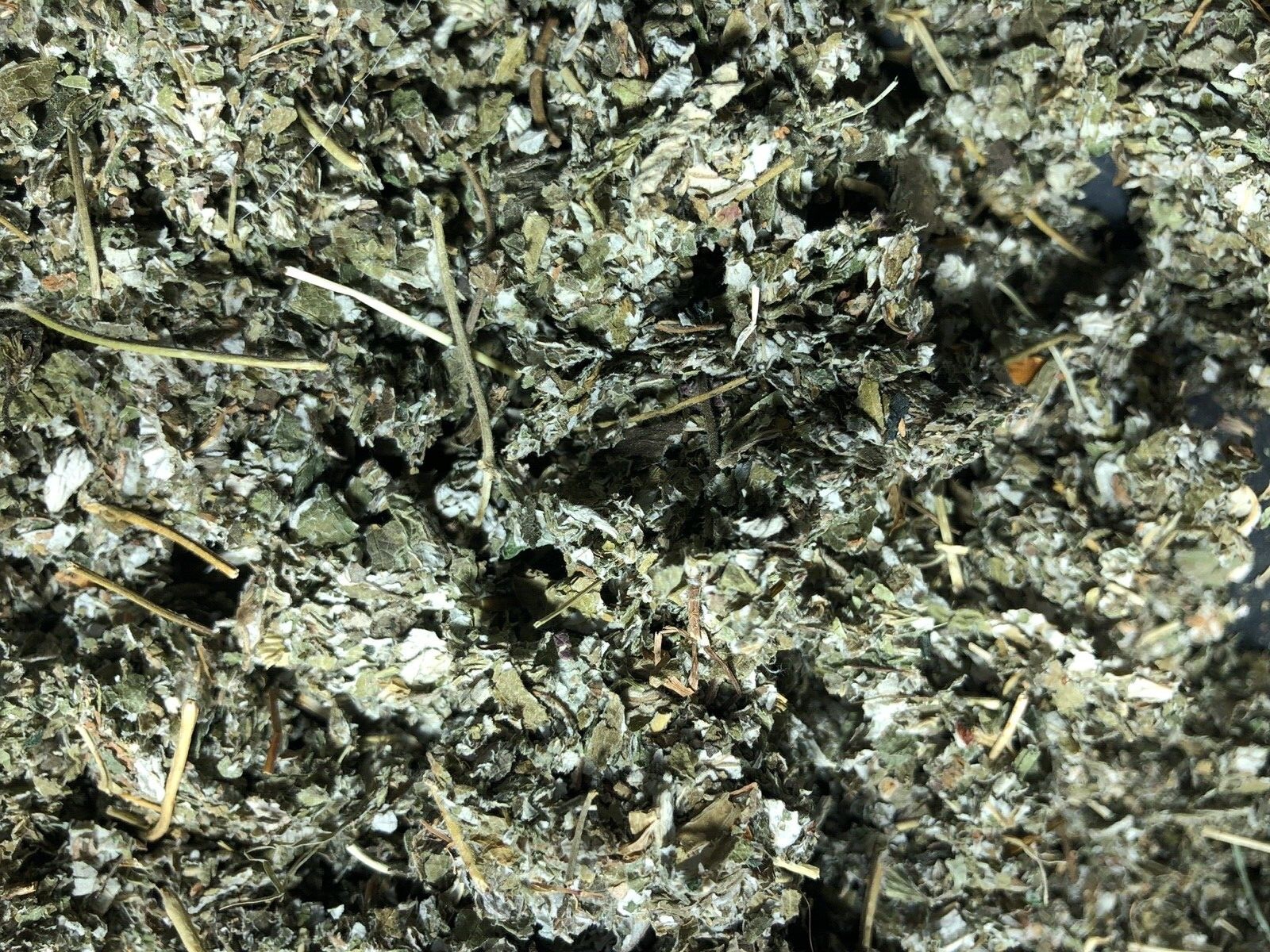 Red Raspberry Leaf ORGANIC cut Wild Crafted￼ rubus idaeus Bulk Herb 1 Lb pound gallery