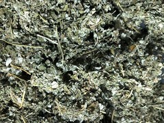 Red Raspberry Leaf ORGANIC cut Wild Crafted￼ rubus idaeus Bulk Herb 1 Lb pound
