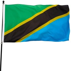 DANF Tanzania Flag 3×5 Ft Thick Polyester, Fade Resistant, Brass Grommets, Canva