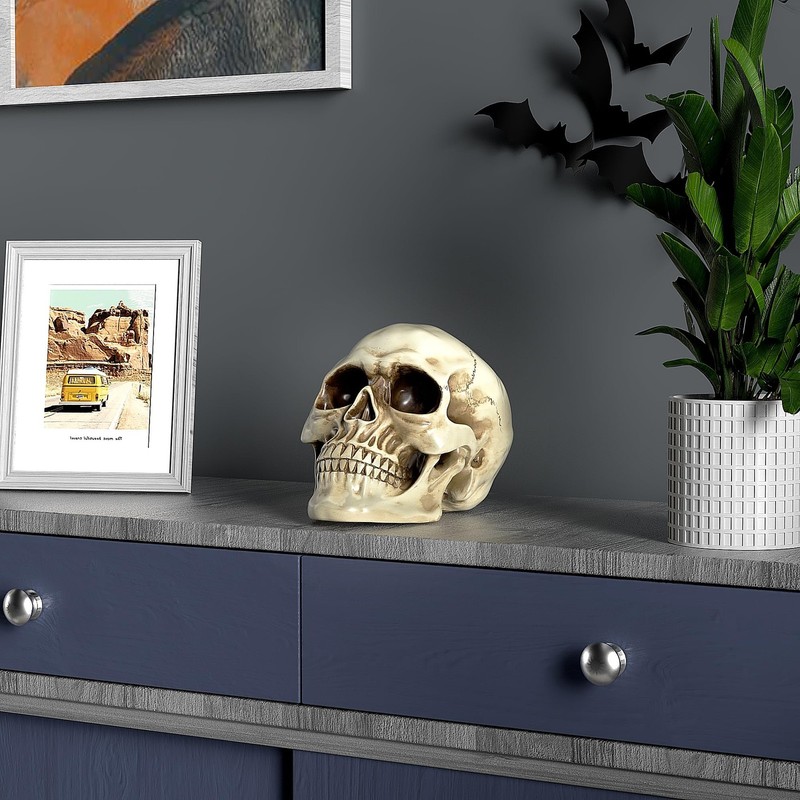 READAEER Life Size Resin Skull, Large Size Adult Skull Head Model for Home Decor gallery
