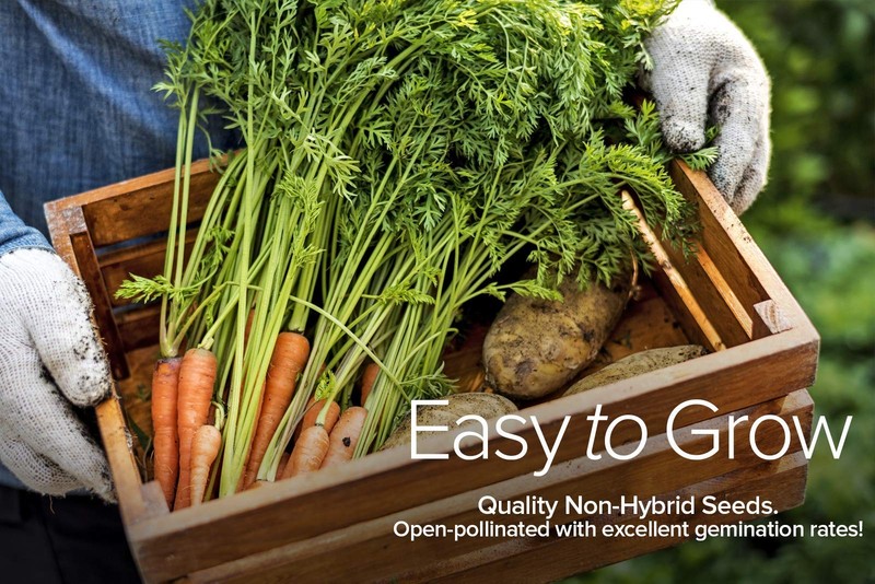 Winter, Fall, and Spring Vegetable Seeds for Planting | Cool Weather Crops | ... gallery