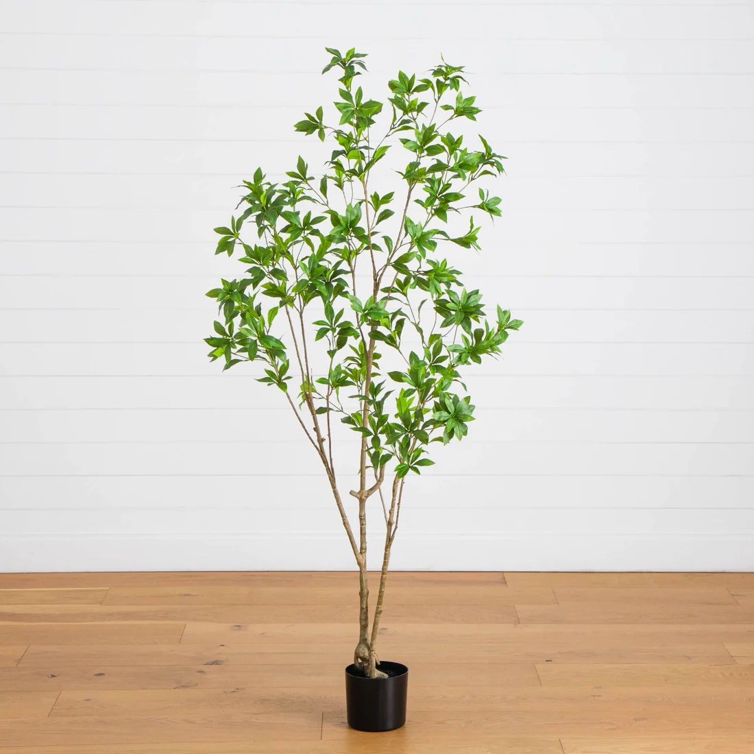 6' Artificial Minimalist Japanese Pieris Tree gallery