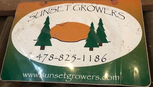 10- 1 Gallon Brightwell Blueberry gallery