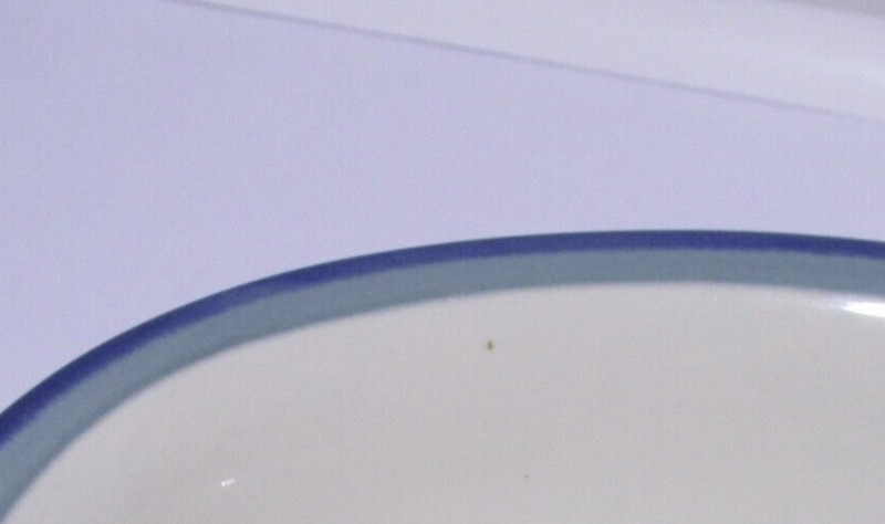 Pfaltzgraff Northwinds 10" Oval Serving Bowl USA gallery