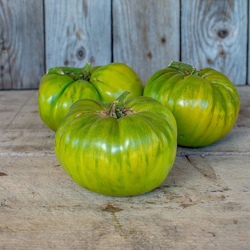 30 AUNT RUBY'S GERMAN GREEN TOMATO SEEDS ~ heirloomseedguy ~ 2026 ~ NON-GMO gallery
