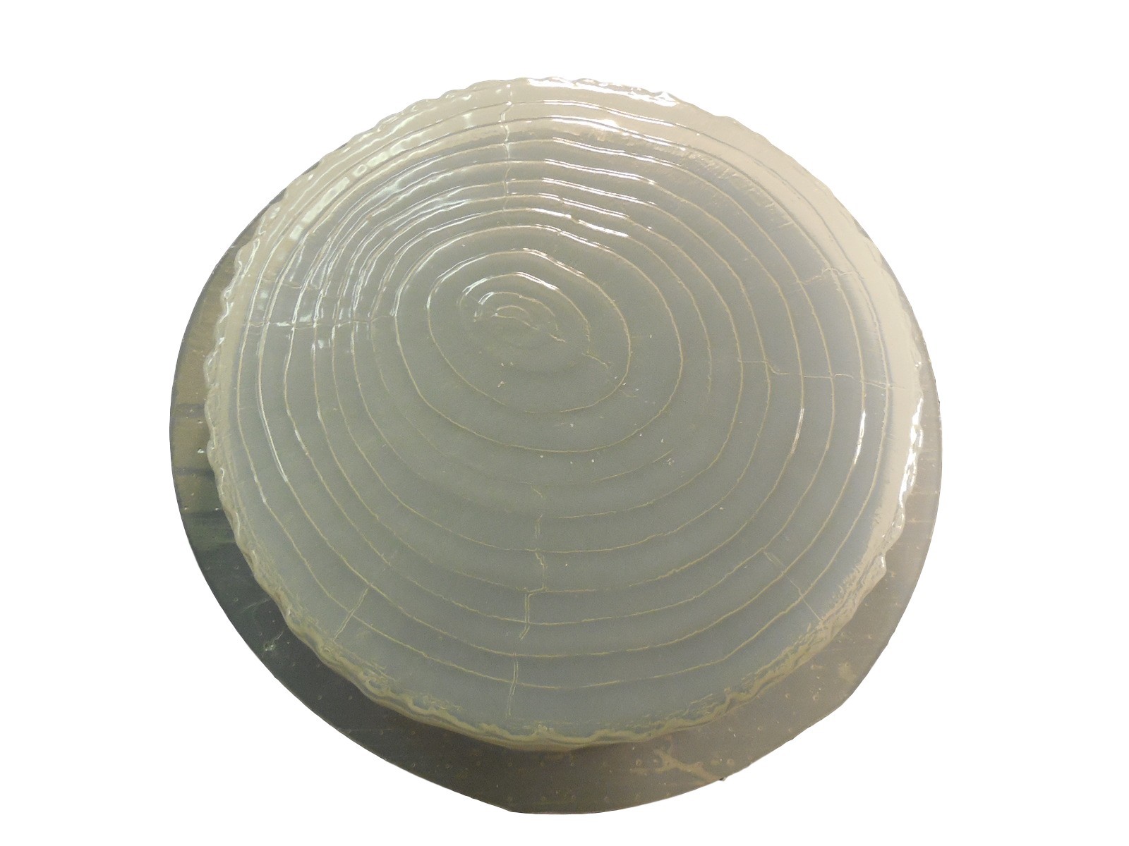 Log End Stepping Stone Plaster or Concrete Mold 1303 Moldcreatons gallery