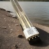 36W UV Light Bulb Dual Bulbs For Cuv-136 Pond Sterlizer UV Filter CUH36L gallery
