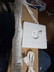 Lighted Birch Tree With Bendable Limbs