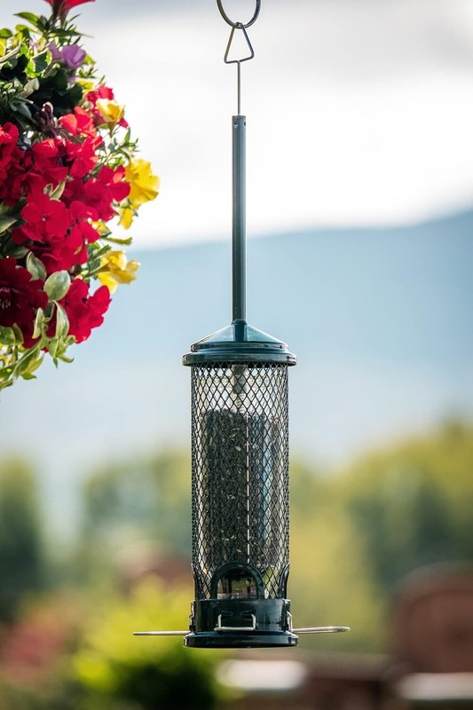 Brome Squirrel Buster Mini Bird Feeder, Squirrel Proof gallery