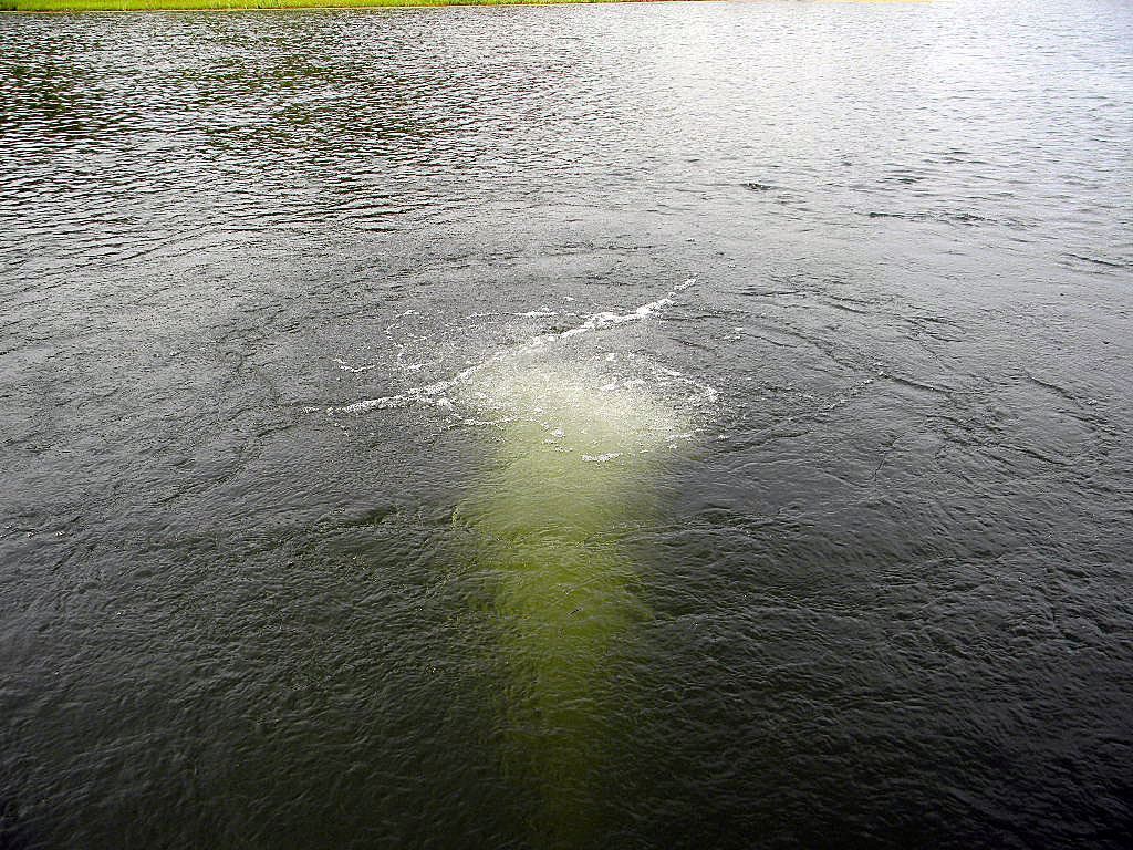 Scott Aerator Bubble Pro Sub-Surface Pond Aerator 1/4 HP Compressor gallery