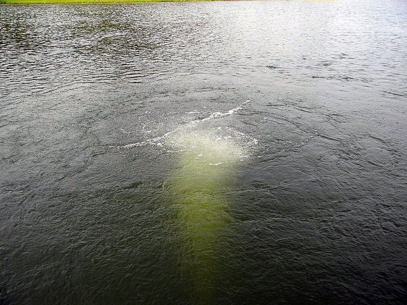 Scott Aerator Bubble Pro Sub-Surface Pond Aerator 1/4 HP Compressor gallery