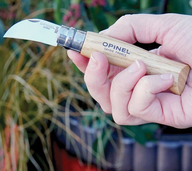 CHESTNUT & GARLIC KNIFE gallery